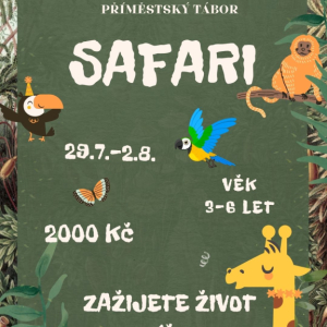 Safari - MŠ tábor