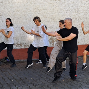 SIFU FREARSON Z VELKÉ BRITÁNIE NA DDM