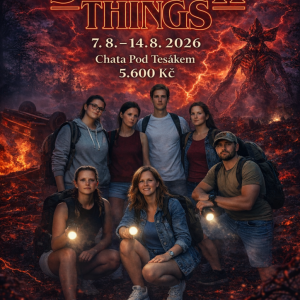 POBYTOVÝ: Stranger things